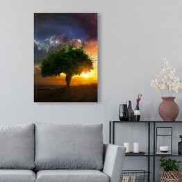 Obraz na płótnie Samotne drzewo na tle zachodu słońca