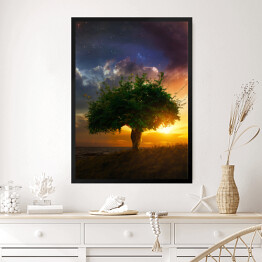 Obraz w ramie Samotne drzewo na tle zachodu słońca