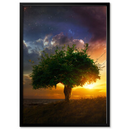Plakat w ramie Samotne drzewo na tle zachodu słońca