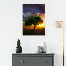 Plakat Samotne drzewo na tle zachodu słońca