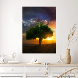 Plakat samoprzylepny Samotne drzewo na tle zachodu słońca