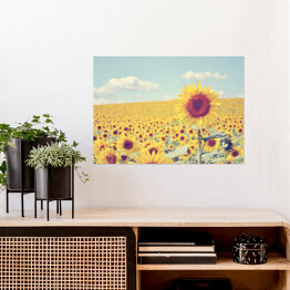 Plakat Słonecznik górujący nad pozostałymi