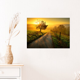 Plakat samoprzylepny Idylliczny krajobraz w trakcie wschodu słońca, z ścieżką i drzewem na łące