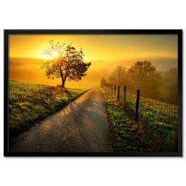 Plakat w ramie Idylliczny krajobraz w trakcie wschodu słońca, z ścieżką i drzewem na łące