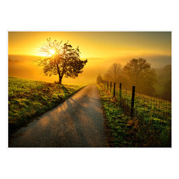 Plakat samoprzylepny Idylliczny krajobraz w trakcie wschodu słońca, z ścieżką i drzewem na łące