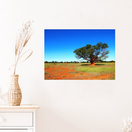 Plakat samoprzylepny Krajobraz w Namibii w sercu Afryki