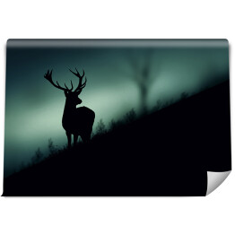 Fototapeta Sylwetka jelenia w lesie w odcieniach koloru szarego i niebieskiego