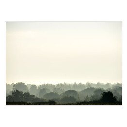 Plakat samoprzylepny Wiecznie zielony las w śniegu i mgle
