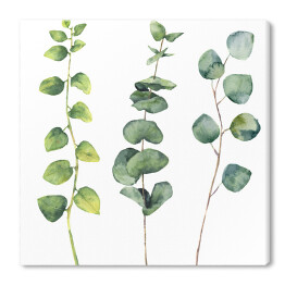 Obraz na płótnie Akwarela - okrągłe liście i gałązki 