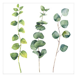 Plakat samoprzylepny Akwarela - okrągłe liście i gałązki 