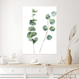 Plakat samoprzylepny Okrągłe liście i gałęzie jasnego eukaliptusa