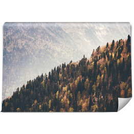 Fototapeta winylowa zmywalna Las iglasty Krajobraz widok z powietrza jesień sezon Koncepcja podróży