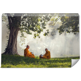 Fototapeta Medytacja pod drzewami w promieniach słońca