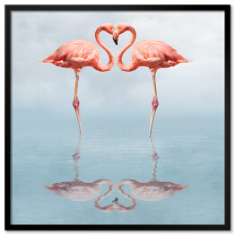 Plakat w ramie Dwa zakochane flamingi