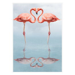 Plakat Dwa zakochane flamingi