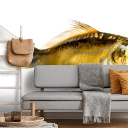 Boczny widok - duża ryba ze złotym okiem