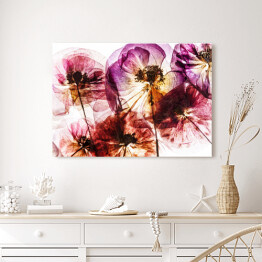 Obraz na płótnie Suche kwiaty maku w odcieniach różu i fioletu