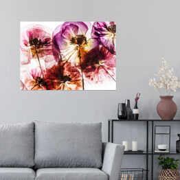Plakat samoprzylepny Suche kwiaty maku w odcieniach różu i fioletu