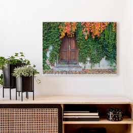 Stare drewniane drzwi porośnięte bluszczem w jesiennych kolorach 