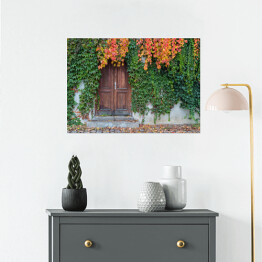 Plakat Stare drewniane drzwi porośnięte bluszczem w jesiennych kolorach 