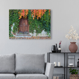 Obraz na płótnie Stare drewniane drzwi porośnięte bluszczem w jesiennych kolorach 