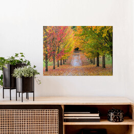Plakat samoprzylepny Kolory jesieni w Oregonie