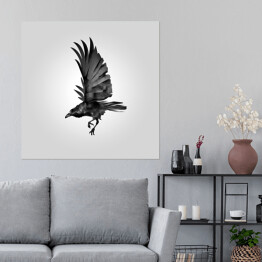 Plakat samoprzylepny Czarna wrona w locie na tle światła