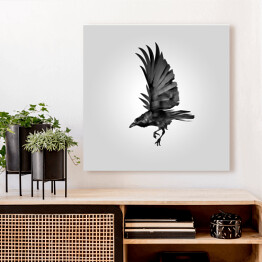 Obraz na płótnie Czarna wrona w locie na tle światła