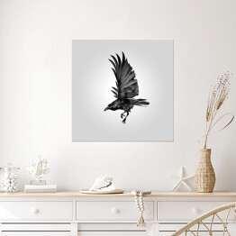 Plakat samoprzylepny Czarna wrona w locie na tle światła