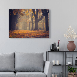 Obraz na płótnie Jesienna kolorowa drzewna aleja z lampionem i parkową ławką w Krakowie