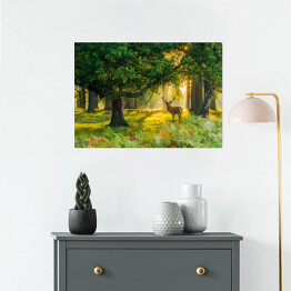 Plakat samoprzylepny Jeleń w lesie o świcie