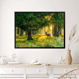 Obraz w ramie Jeleń w lesie o świcie