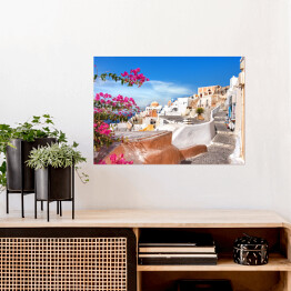 Plakat samoprzylepny Roślinność i architektura Oia, wyspy Santorini, Grecja