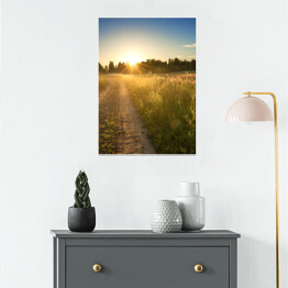 Plakat samoprzylepny Wschód słońca nad łąką