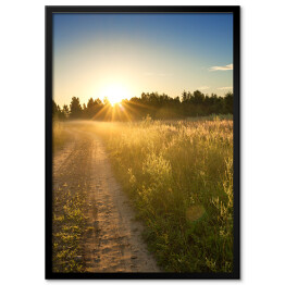 Plakat w ramie Wschód słońca nad łąką