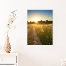 Plakat Wschód słońca nad łąką