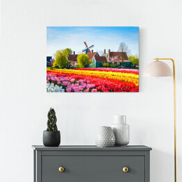 Obraz na płótnie Krajobraz z tulipanami i wiatrakiem, Holandia