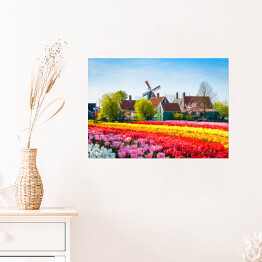 Plakat Krajobraz z tulipanami i wiatrakiem, Holandia