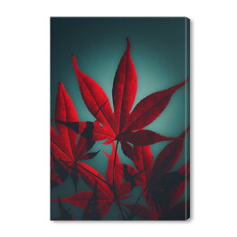 Obraz na płótnie Czerwony liść na niebieskim rozświetlonym tle