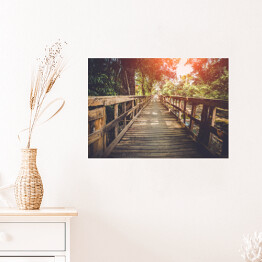 Plakat Drewniany most oświetlany przez pojedyncze promienie słońca