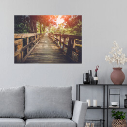 Plakat samoprzylepny Drewniany most oświetlany przez pojedyncze promienie słońca