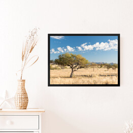 Obraz w ramie Afrykański krajobraz, Namibia