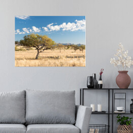 Plakat Afrykański krajobraz, Namibia