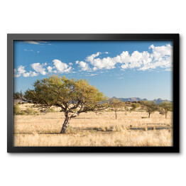 Obraz w ramie Afrykański krajobraz, Namibia