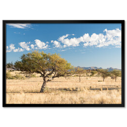 Plakat w ramie Afrykański krajobraz, Namibia