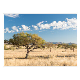 Plakat samoprzylepny Afrykański krajobraz, Namibia