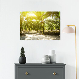 Plakat samoprzylepny Plantacja oleju palmowego oświetlona porannym słońcem
