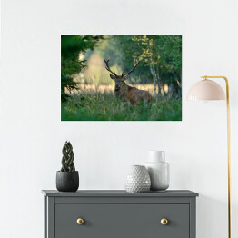 Plakat samoprzylepny Jeleń w lesie wiosną