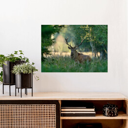 Plakat samoprzylepny Jeleń w lesie wiosną