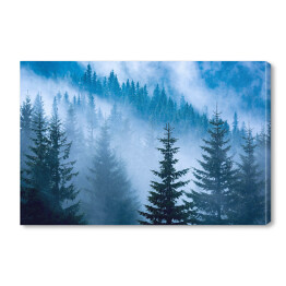 Obraz na płótnie Sosnowy las w niebieskiej mgle
